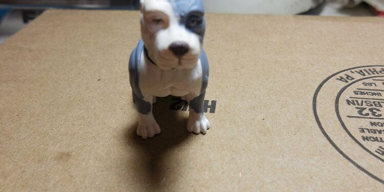 ship a pitbull