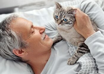 Allergic To Cats But Want To Own One