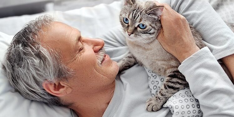 Allergic To Cats But Want To Own One