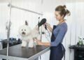 Dog Groomer