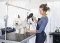 Dog Groomer
