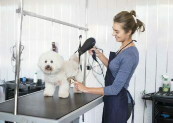 Dog Groomer