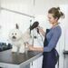 Dog Groomer
