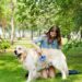 5 Tips for taking care of your dog taking care of dog