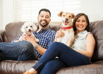 Pet-Friendly Apartments