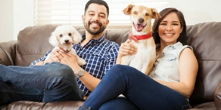 Pet-Friendly Apartments
