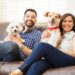 What Type Of Potentials Should Be In Pet-Friendly Apartments? Pet-Friendly Apartments
