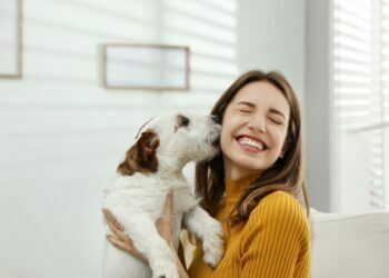 Dogs Care