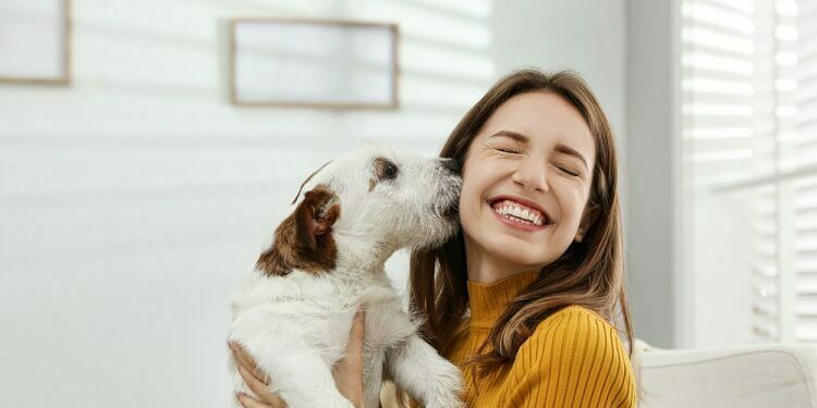 Things To Know About The Dogs Day Care Dogs Care