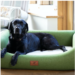 Dog Bed