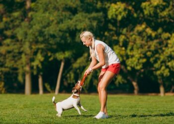 Dog Training