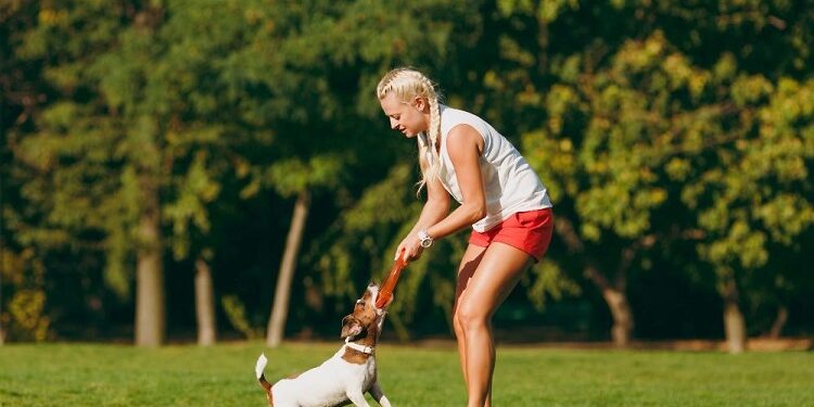 How Balanced Dog Training Can Teach Your Dog to Behave Dog Training