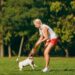 Dog Training