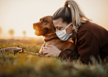 Personal Protection Dogs