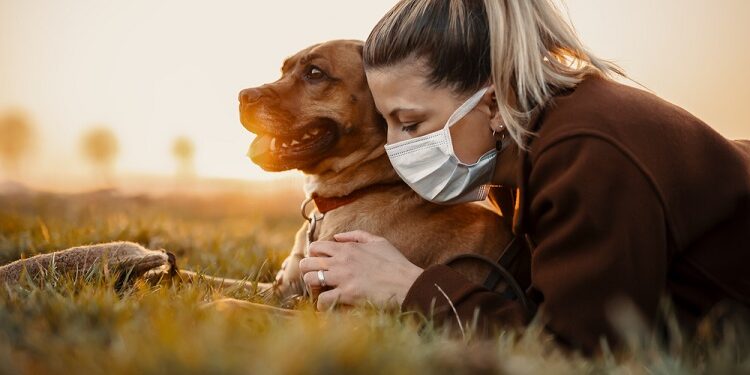 Personal Protection Dogs