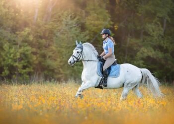 Horse Riding