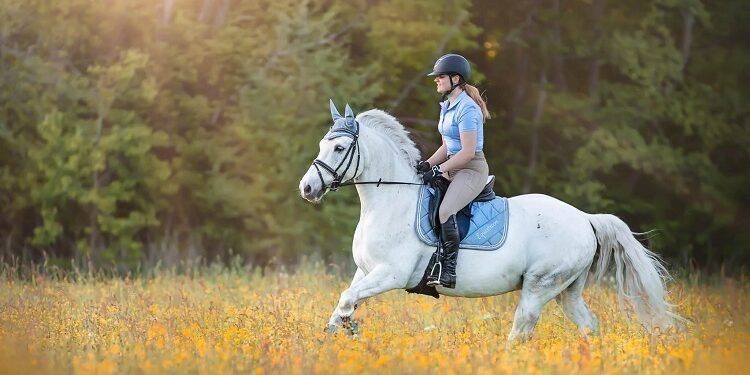 Horse Riding