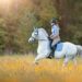 Horse Riding