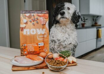 Protein for Dogs