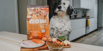 Protein for Dogs