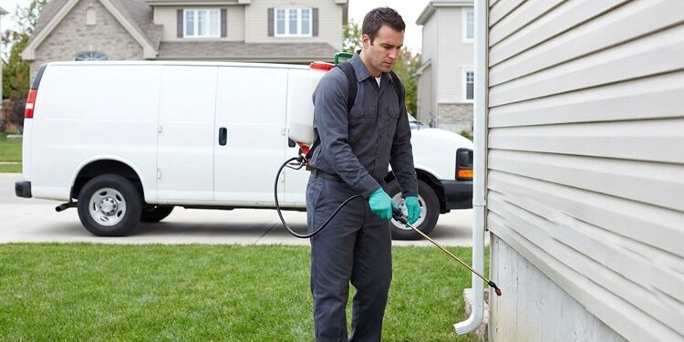 Why Pest Problems Are Rising in Damascus Neighborhoods Pest Problems